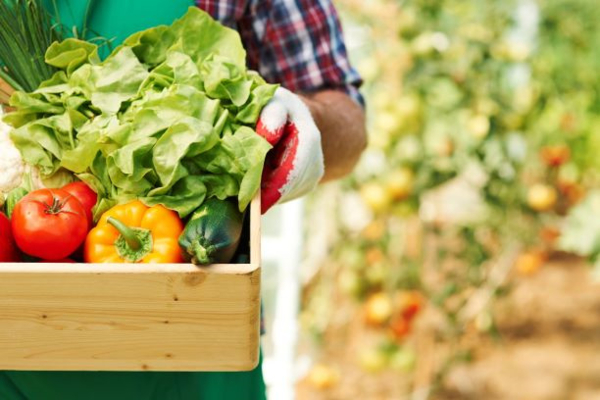 Marché forain de village. Une habitante achète des légumes à un maraîcher
