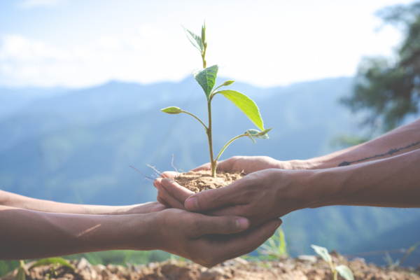 Zone humide protégée en milieu périurbain, exemple d’action territoriale en faveur de la biodiversité locale