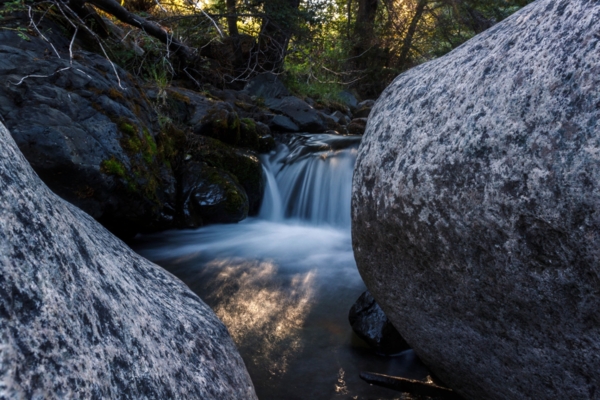 Ruisseau naturel serpentant à travers un paysage végétalisé, illustrant la gestion durable des milieux aquatiques à l’échelle territoriale