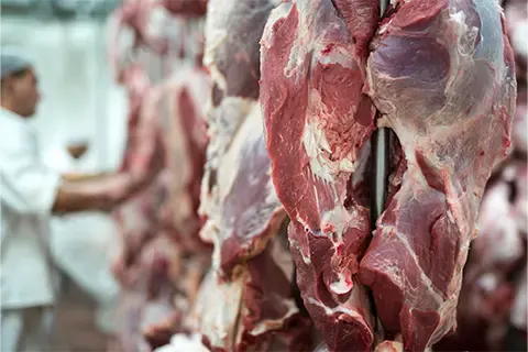 Personnel des abattoirs en train de discuter. Ils portent des habits spéciaux avec des charlottes et des gants.